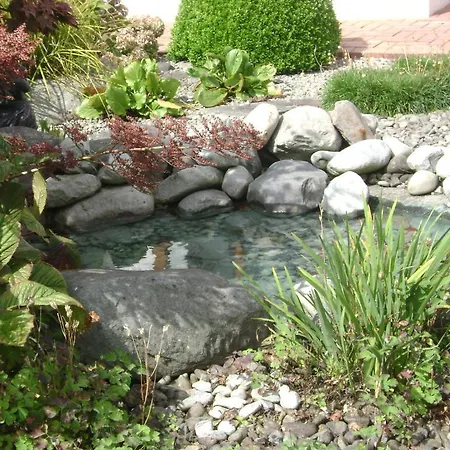 Bed & Breakfast Saint Anthony's Killarney