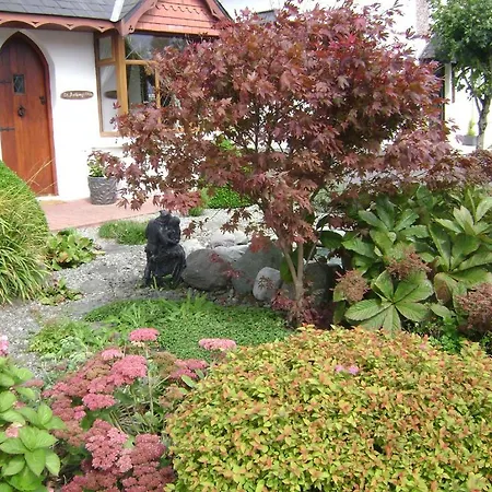 Saint Anthony's Bed & Breakfast Killarney